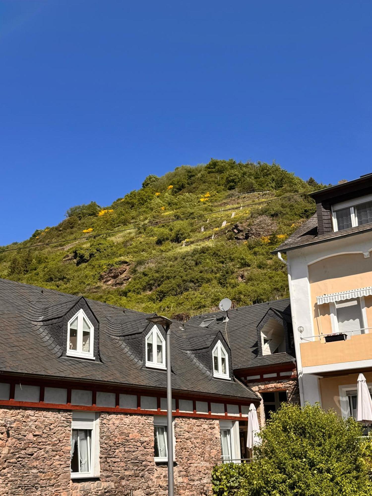 Ferienweingut Rudorfer Hotell Valwig Rom bilde