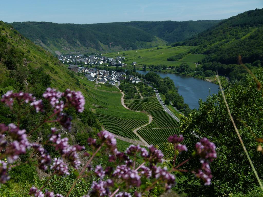 Ferienweingut Rudorfer Hotell Valwig Eksteriør bilde